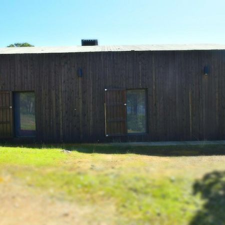 Helechosa Casas Rurales Cijara旅馆 外观 照片