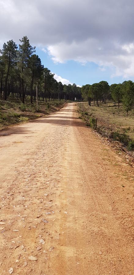 Helechosa Casas Rurales Cijara旅馆 外观 照片